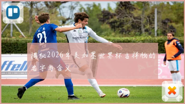 揭秘2026年美加墨世界杯吉祥物的名字与含义