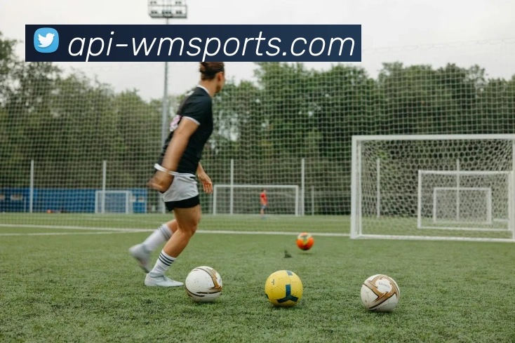 完美体育官网APP 封面图